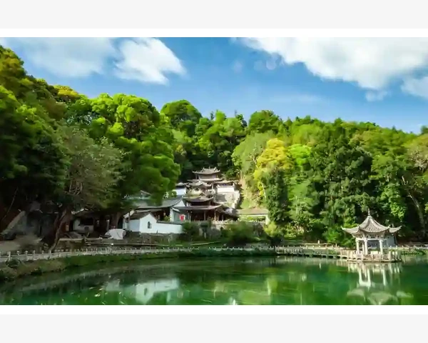 养阴清肺合剂：呼吸系统健康的中医宝藏